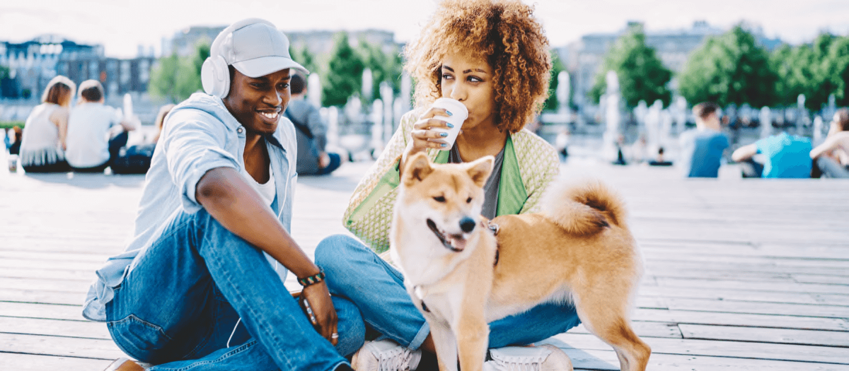 Animal Loving Audiences